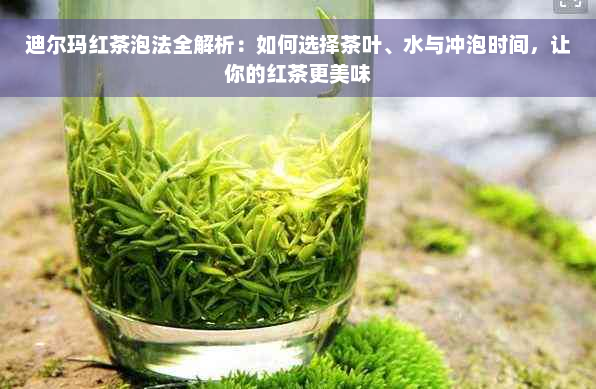 迪尔玛红茶泡法全解析：如何选择茶叶、水与冲泡时间，让你的红茶更美味