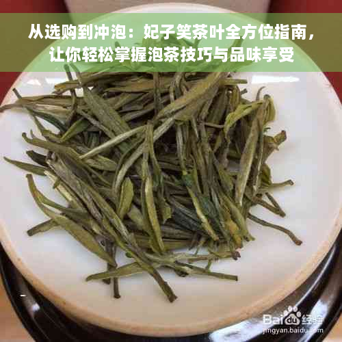 从选购到冲泡：妃子笑茶叶全方位指南，让你轻松掌握泡茶技巧与品味享受