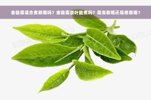 金骏眉适合煮着喝吗？金骏眉茶叶能煮吗？是泡着喝还是煮着喝？