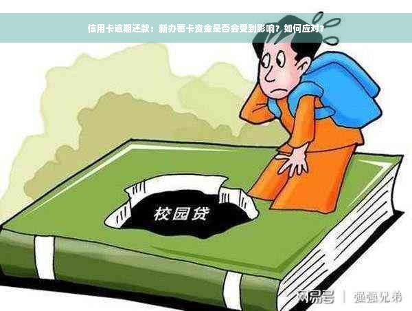 信用卡逾期还款：新办蓄卡资金是否会受到影响？如何应对？