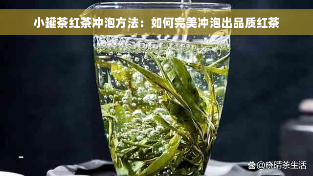 小罐茶红茶冲泡方法：如何完美冲泡出品质红茶