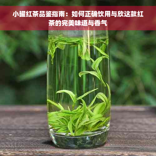 小罐红茶品鉴指南：如何正确饮用与欣这款红茶的完美味道与香气