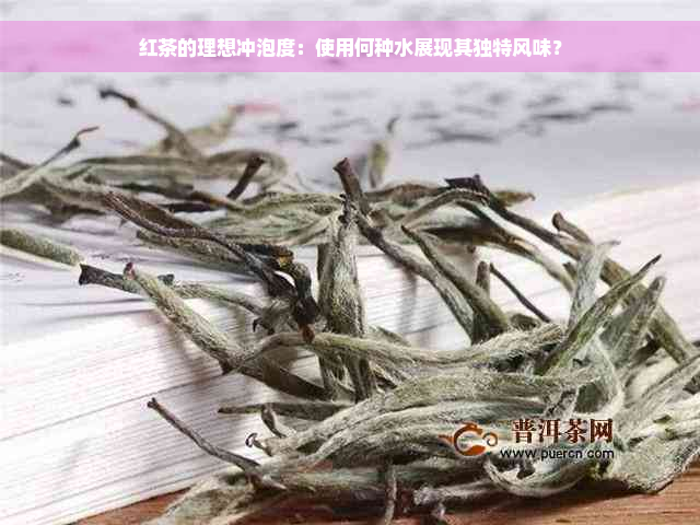 红茶的理想冲泡度：使用何种水展现其独特风味？