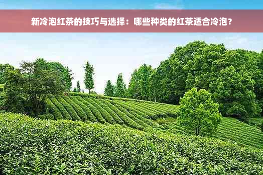 新冷泡红茶的技巧与选择：哪些种类的红茶适合冷泡？