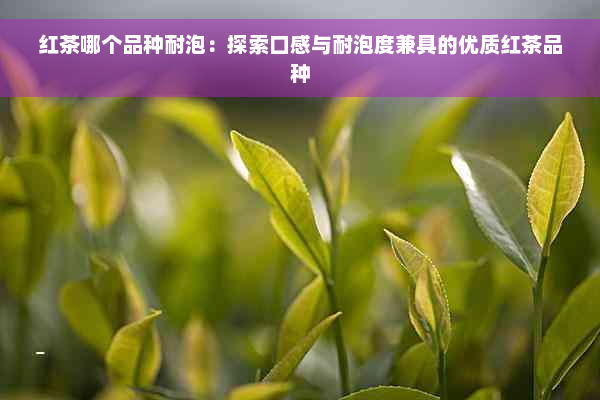 红茶哪个品种耐泡：探索口感与耐泡度兼具的优质红茶品种