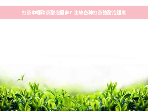 红茶中哪种茶耐泡最多？比较各种红茶的耐泡程度