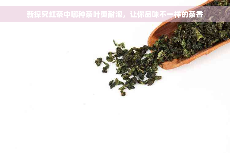 新探究红茶中哪种茶叶更耐泡，让你品味不一样的茶香