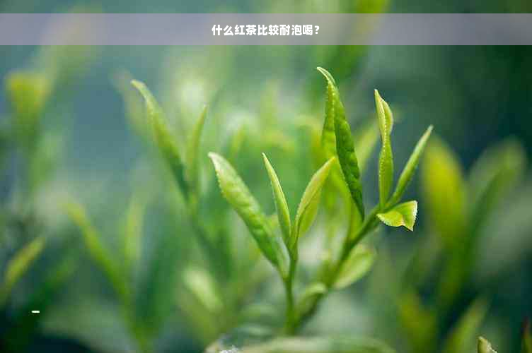 什么红茶比较耐泡喝？