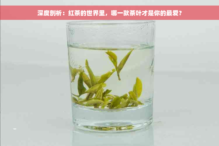 深度剖析：红茶的世界里，哪一款茶叶才是你的更爱？