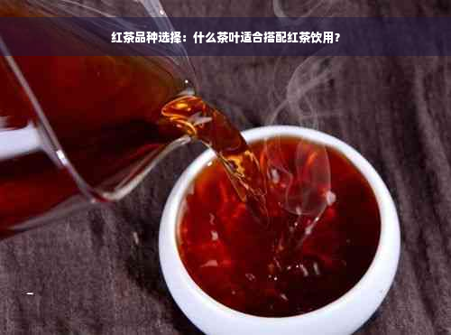 红茶品种选择：什么茶叶适合搭配红茶饮用？