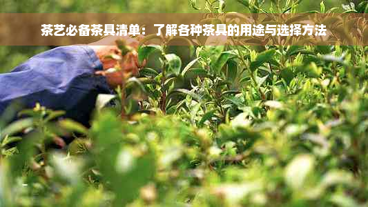 茶艺必备茶具清单：了解各种茶具的用途与选择方法