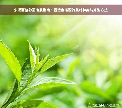 朱泥西紫砂壶泡茶指南：最适合搭配的茶叶种类与冲泡方法