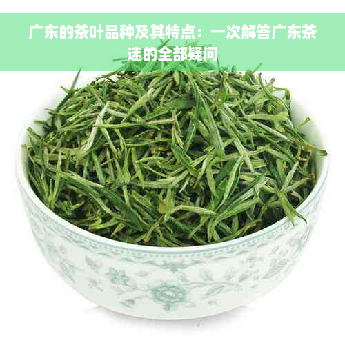 广东的茶叶品种及其特点：一次解答广东茶迷的全部疑问