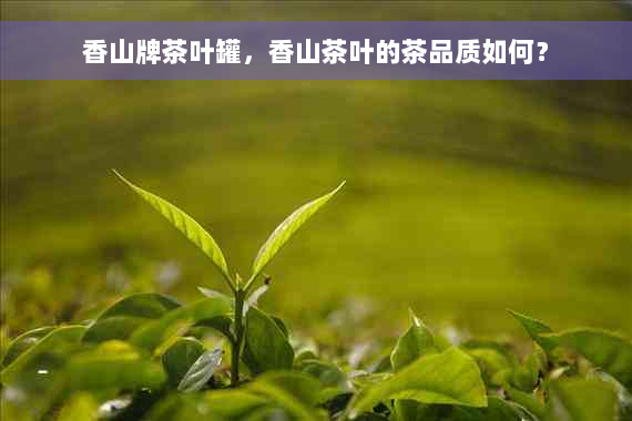 香山牌茶叶罐，香山茶叶的茶品质如何？