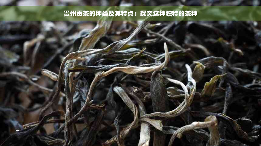 贵州贡茶的种类及其特点：探究这种独特的茶种