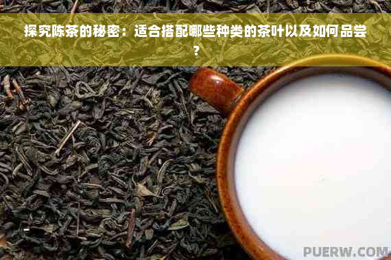 探究陈茶的秘密：适合搭配哪些种类的茶叶以及如何品尝？