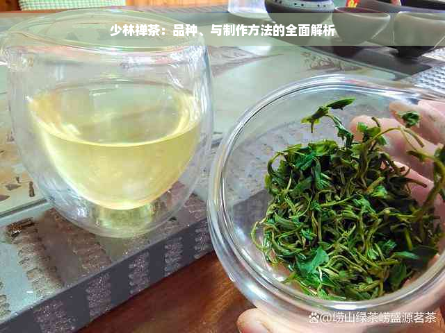 少林禅茶：品种、与制作方法的全面解析