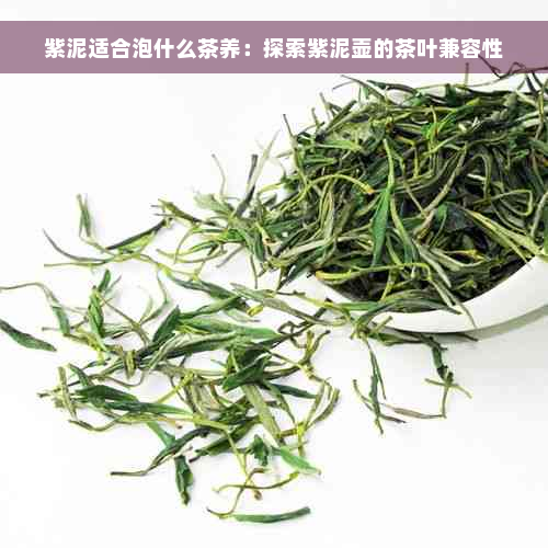 紫泥适合泡什么茶养：探索紫泥壶的茶叶兼容性