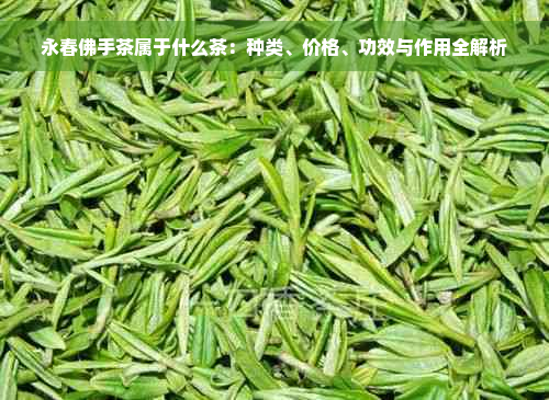 永春佛手茶属于什么茶：种类、价格、功效与作用全解析