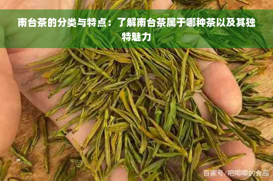 南台茶的分类与特点：了解南台茶属于哪种茶以及其独特魅力