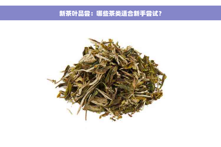 新茶叶品尝：哪些茶类适合新手尝试？