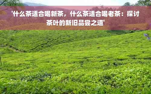 '什么茶适合喝新茶，什么茶适合喝老茶：探讨茶叶的新旧品尝之道'