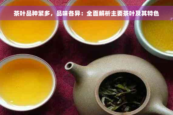 茶叶品种繁多，品味各异：全面解析主要茶叶及其特色