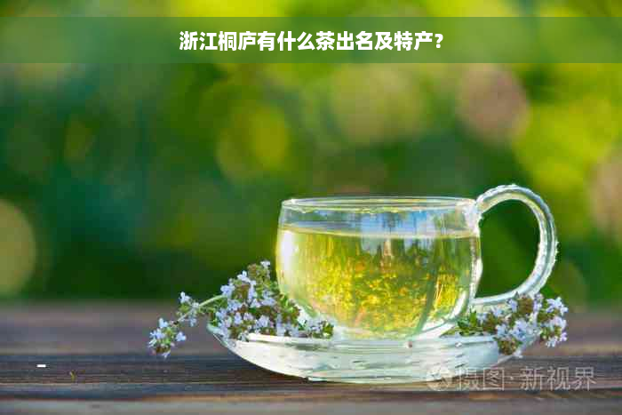 浙江桐庐有什么茶出名及特产？