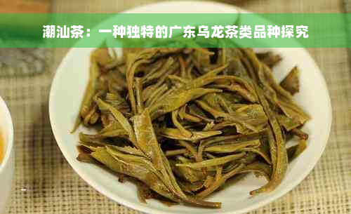 潮汕茶：一种独特的广东乌龙茶类品种探究