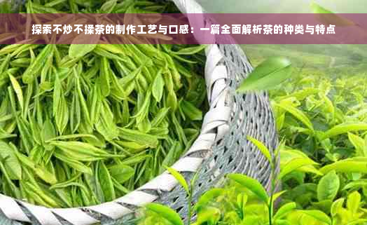 探索不炒不揉茶的制作工艺与口感：一篇全面解析茶的种类与特点