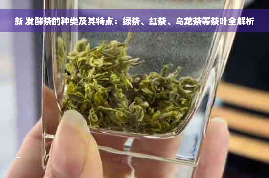 新 发酵茶的种类及其特点：绿茶、红茶、乌龙茶等茶叶全解析