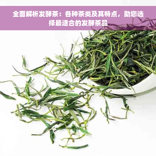 全面解析发酵茶：各种茶类及其特点，助您选择最适合的发酵茶品