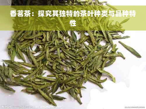 香茗茶：探究其独特的茶叶种类与品种特性