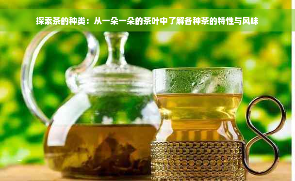 探索茶的种类：从一朵一朵的茶叶中了解各种茶的特性与风味