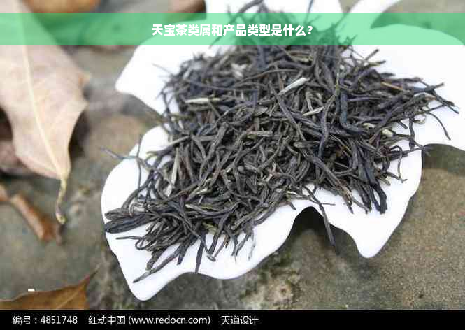 天宝茶类属和产品类型是什么？