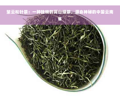 紫云松针茶：一种独特的高山绿茶，源自神秘的中国云南省