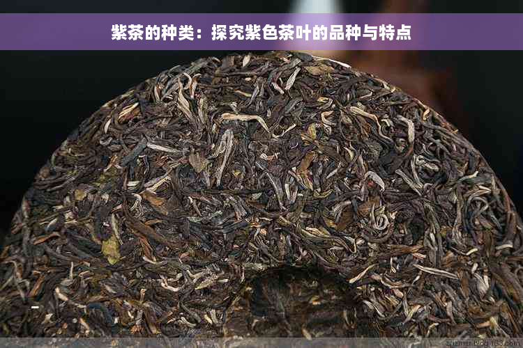 紫茶的种类：探究紫色茶叶的品种与特点