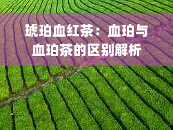 琥珀血红茶：血珀与血珀茶的区别解析