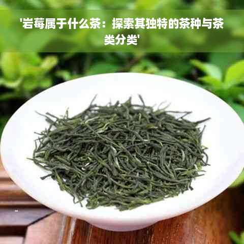 '岩莓属于什么茶：探索其独特的茶种与茶类分类'