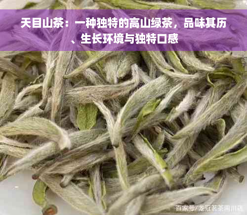 天目山茶：一种独特的高山绿茶，品味其历、生长环境与独特口感