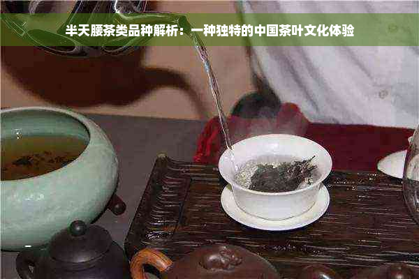 半天腰茶类品种解析：一种独特的中国茶叶文化体验