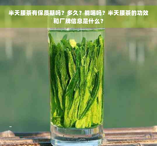 半天腰茶有保质期吗？多久？能喝吗？半天腰茶的功效和厂牌信息是什么？