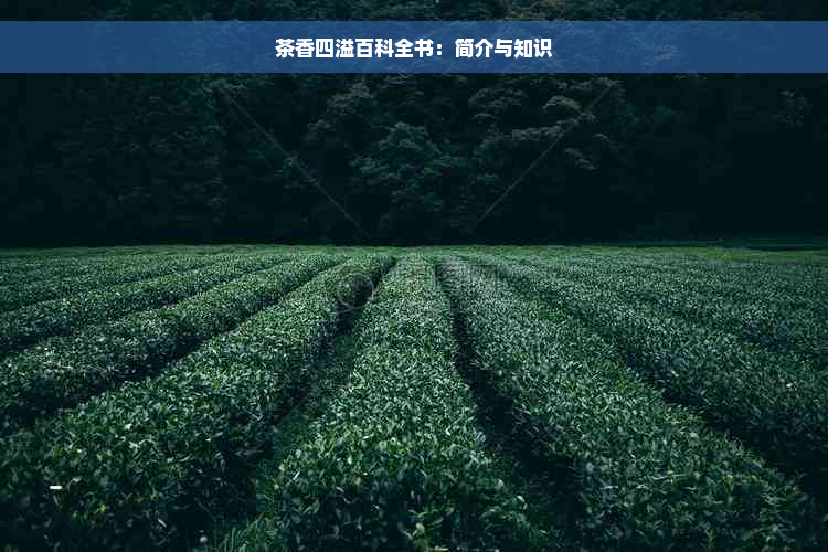 茶香四溢百科全书：简介与知识