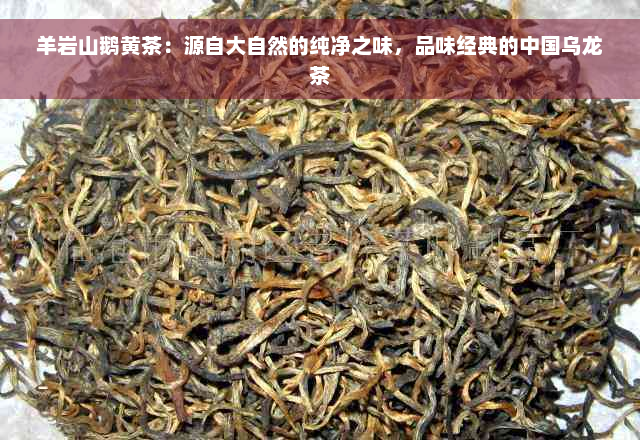 羊岩山鹅黄茶：源自大自然的纯净之味，品味经典的中国乌龙茶