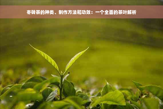 枣砖茶的种类、制作方法和功效：一个全面的茶叶解析