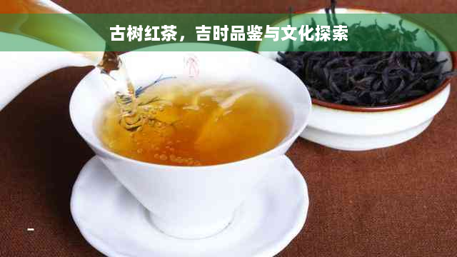 古树红茶，吉时品鉴与文化探索