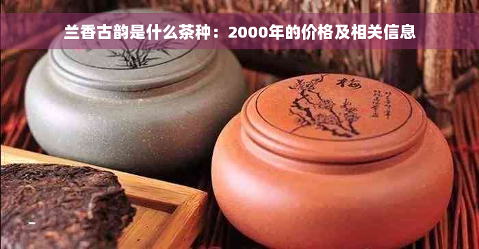 兰香古韵是什么茶种：2000年的价格及相关信息