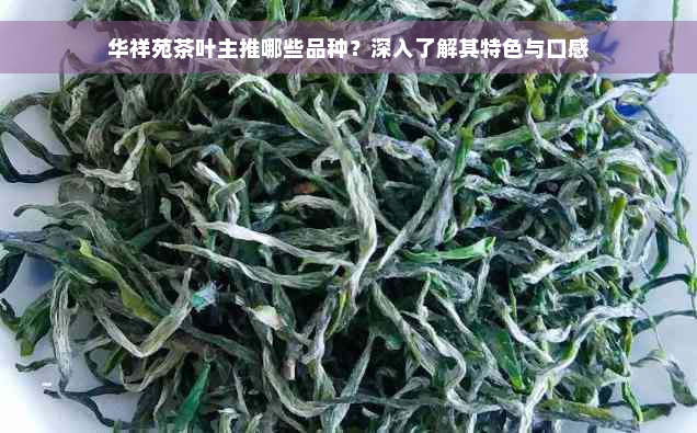 华祥苑茶叶主推哪些品种？深入了解其特色与口感