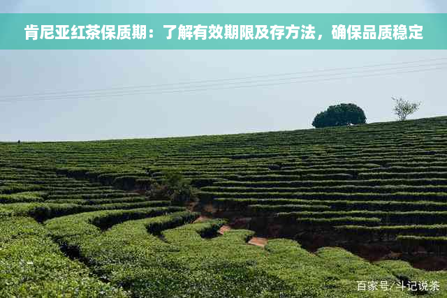 肯尼亚红茶保质期：了解有效期限及存方法，确保品质稳定