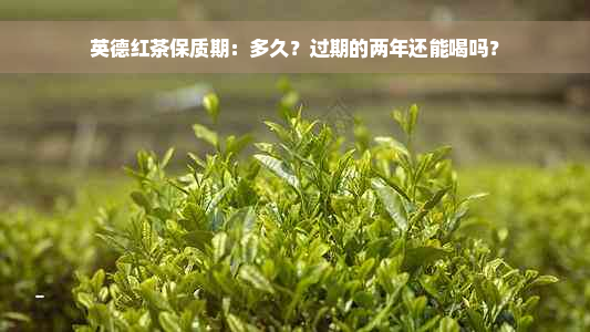 英德红茶保质期：多久？过期的两年还能喝吗？